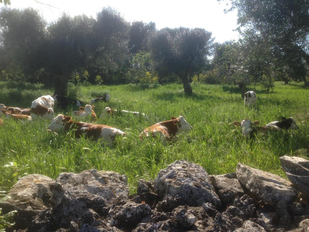 B&B Masseria Nuove Caselle Villa Castelli Luaran gambar