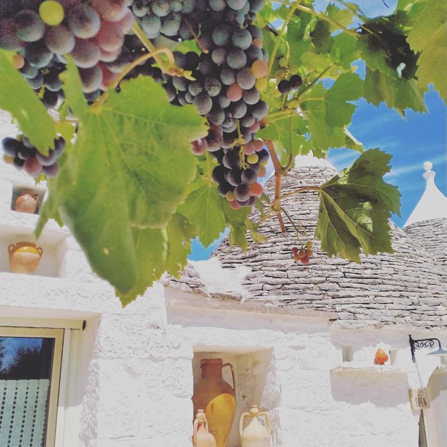 B&B Masseria Nuove Caselle Villa Castelli Luaran gambar